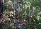 DSC 0161  Part of a challenge course that runs about a mile (slight exaggeration) above the creek below.