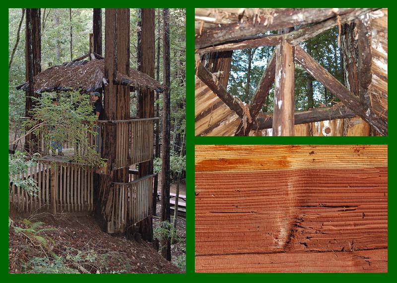 TreeHouse.jpg - (L): We climbed a hill to visit the Tree House; (UR): Closeup of the center opening in the Tree House ceiling; (LR): Grain from a split log segment.