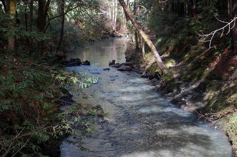 35.jpg - The stream is full, thanks to recent wet weather.  Fortunately for us, Saturday (March 5, 2011), our work day, was mostly dry.