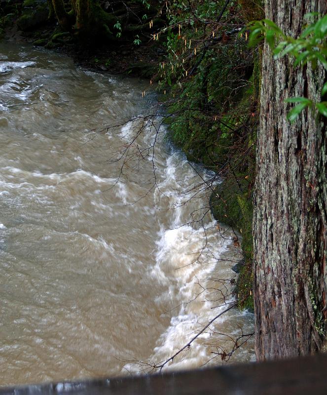 75.jpg - Saturday night (after our work was done, thank goodness!) it rained quite a bit and the stream was even higher the next morning.