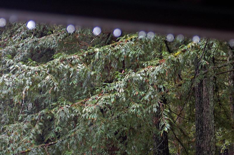 80.jpg - Raindrops gather on a beam outside the dining hall.