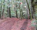 IMG_0583_0047