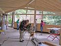 IMG_0588_0042