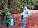 IMG_0597_0033