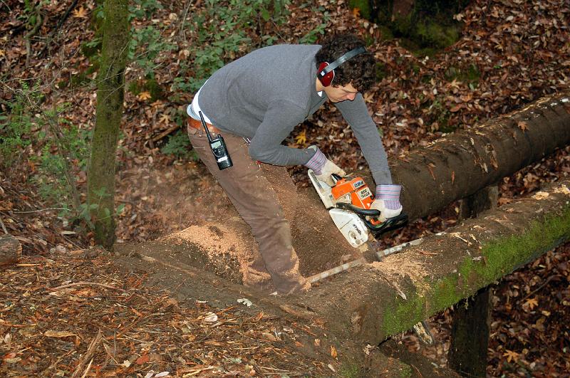 BR_0045.JPG - Micah Burdick, a Westminster Woods staff member, cuts one of the supporting logs.