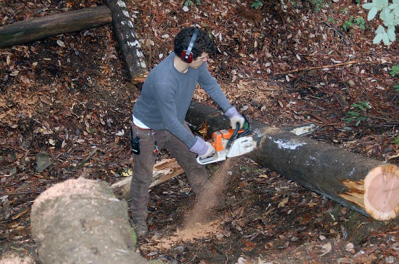 BR_0052.JPG - Micah continues cutting logs to length.