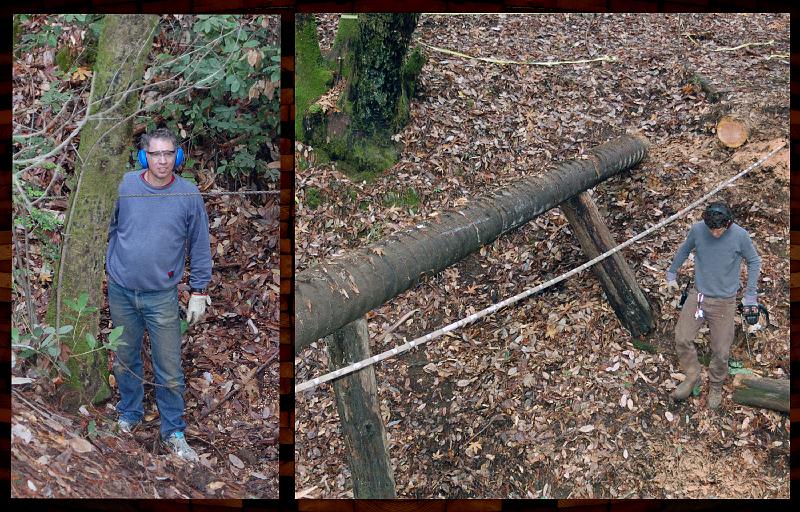 BR_0057A.JPG - (Left) Gabriel readies the towline for pulling the remaining log down.  (Right) The deed is done.