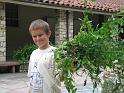 IMG_1587