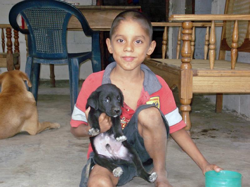 S448.jpg - Almost every family has a dog.