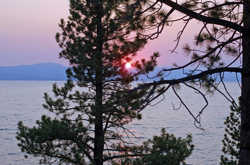 DSC_0008.JPG
