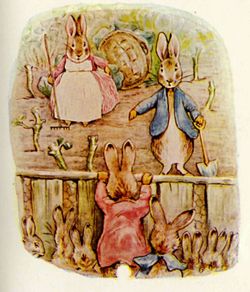 Bunnies