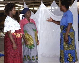 Mosquito Net